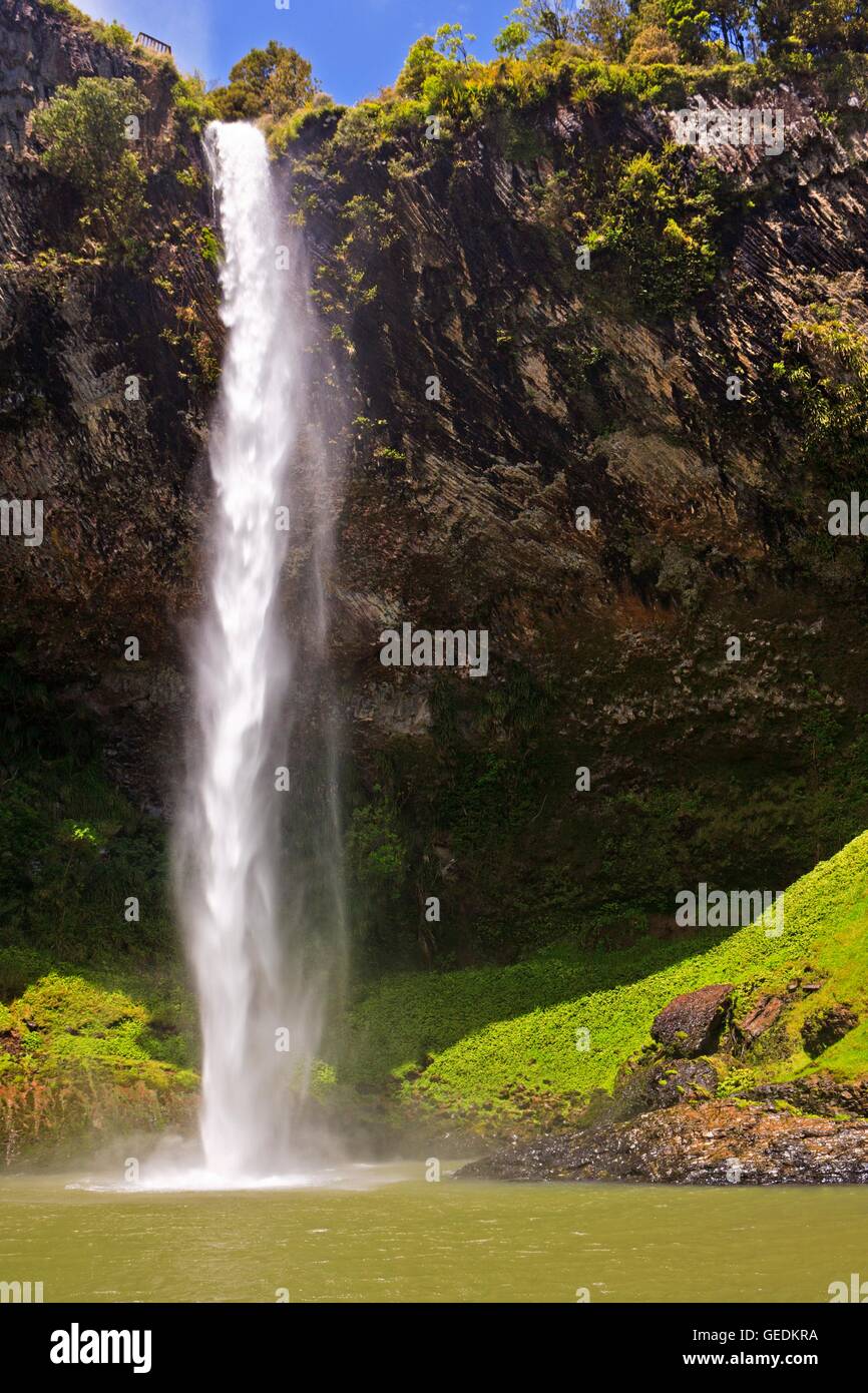 Geographie/Reisen, Neuseeland, Nordinsel, Bridal Veil Falls, 55 Meter hoch, in der Nähe von Te Mata, Waikato, North Island, No-Exclusive - Verwenden Sie Stockfoto