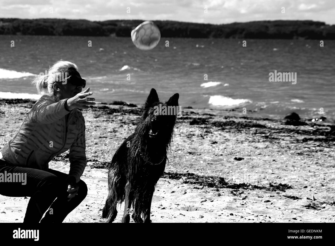 Blackandwhite, liebenswert, Waldisputninsphotography, Geometrie, abstrakt, Kunst, schwarz, launisch, kreativ, Hund, Hunde, Germanshepherd, Haushund, Haustiere Stockfoto