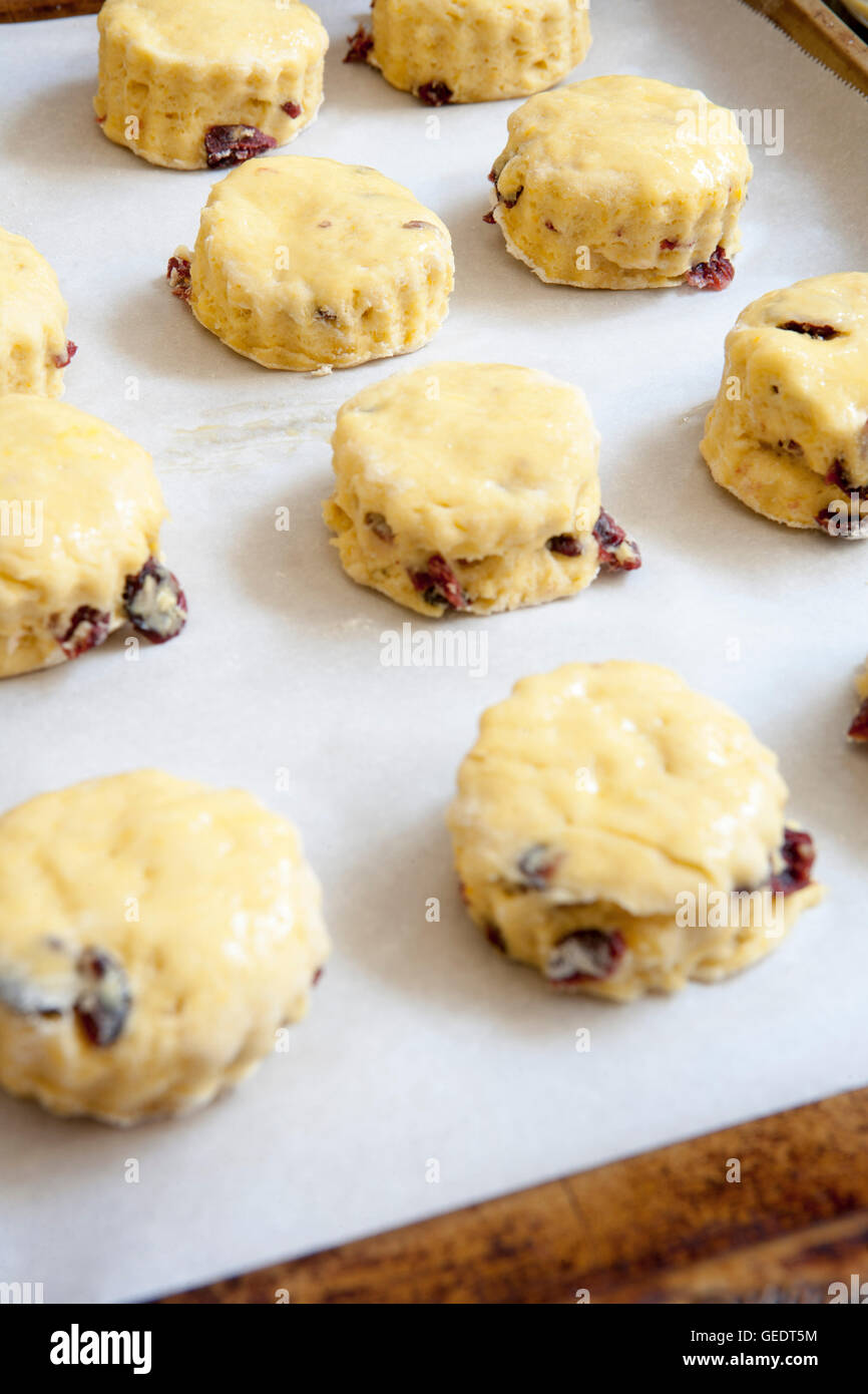 Ungebrannten Cranberry Orange Scones auf Backblech Stockfoto