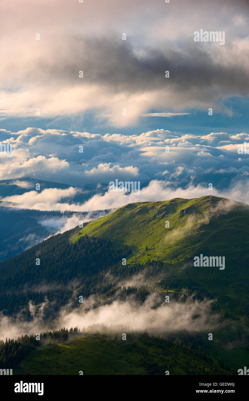 Kontrast und dramatische Nebel nach Regen in Bergen Karpaten Stockfoto