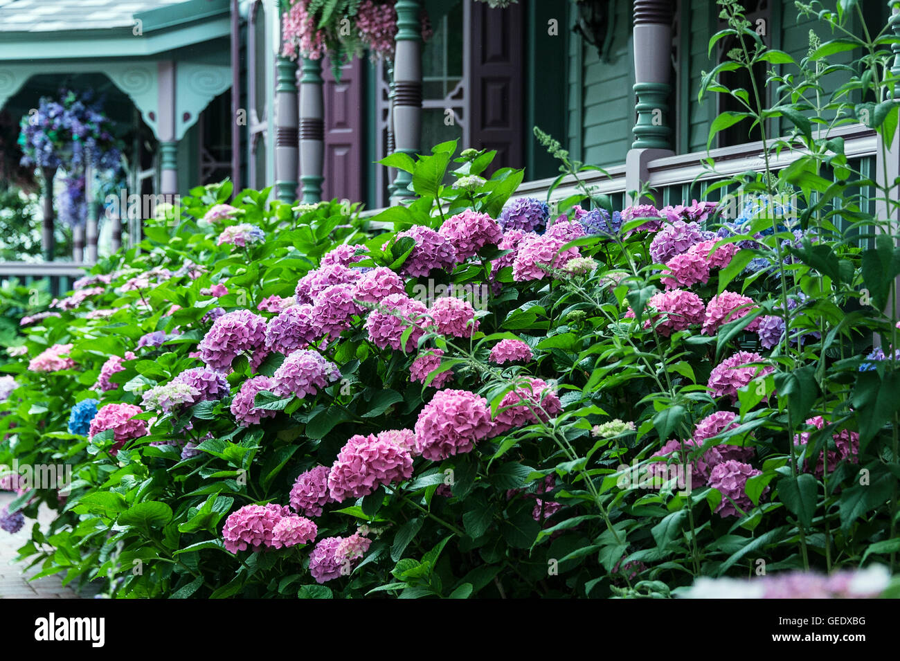 Viktorianischen Haus und Garten, Cape May, New Jersey, USA Stockfoto