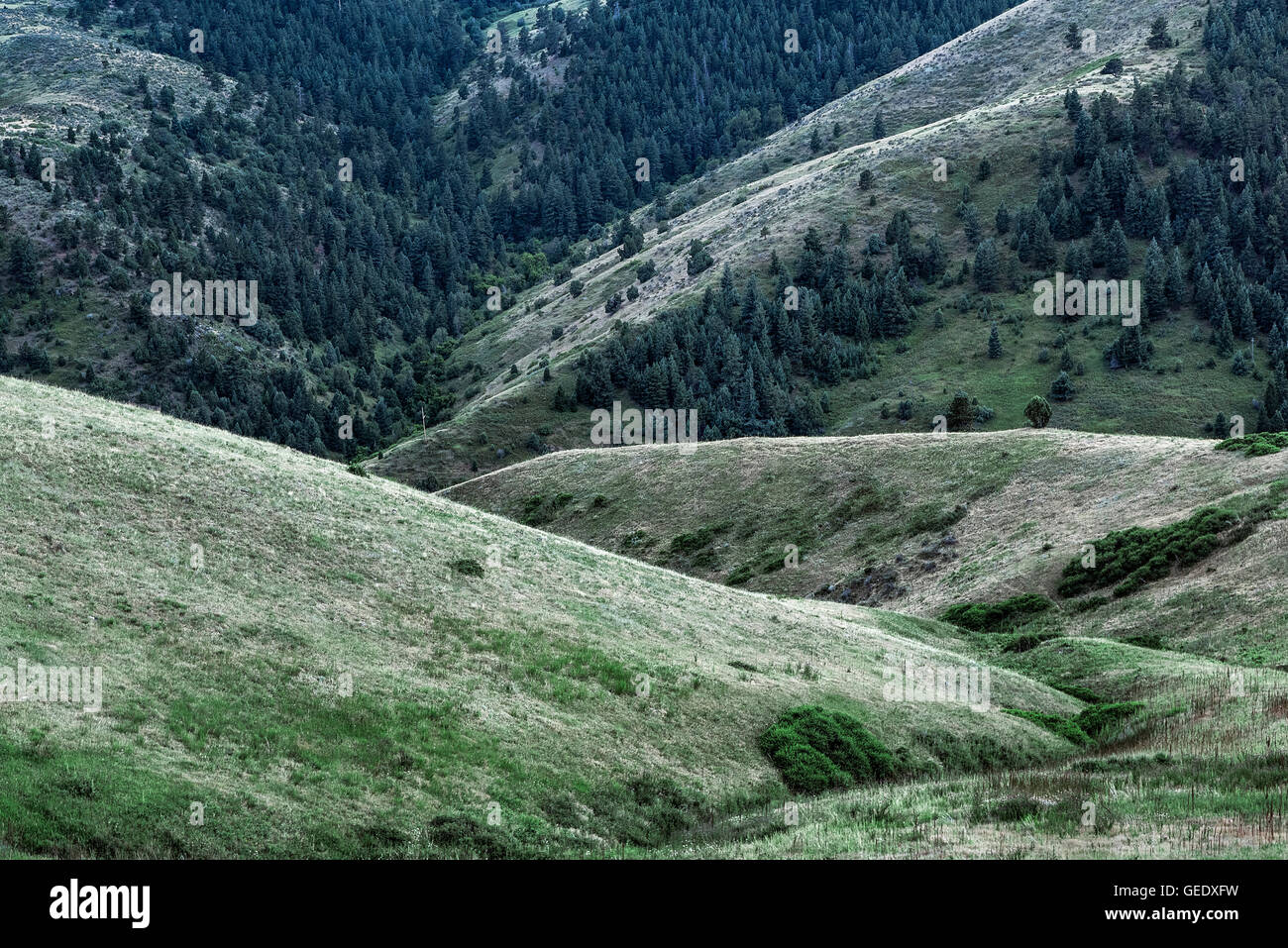Foothill Landschaft, Golden, Colorado, USA Stockfoto