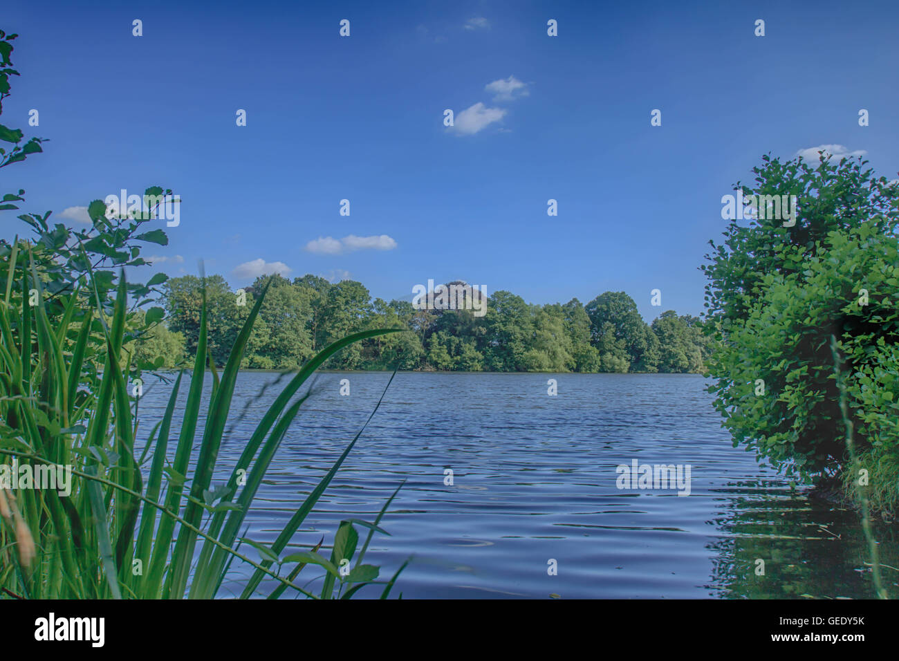 Schöne Landschaft nehmen in Osterley Park London UK Stockfoto
