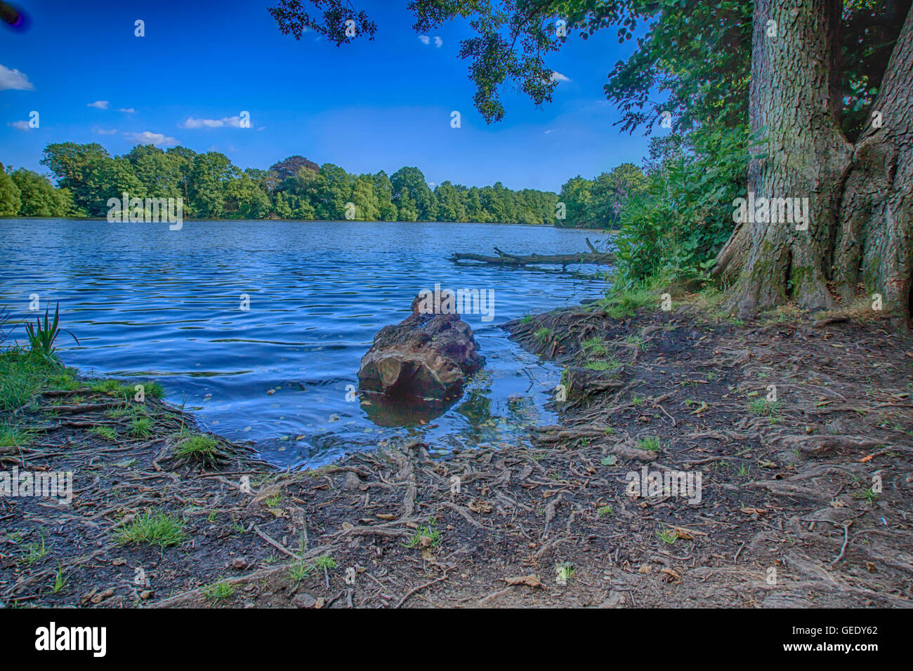 Schöne Landschaft nehmen in Osterley Park London UK Stockfoto