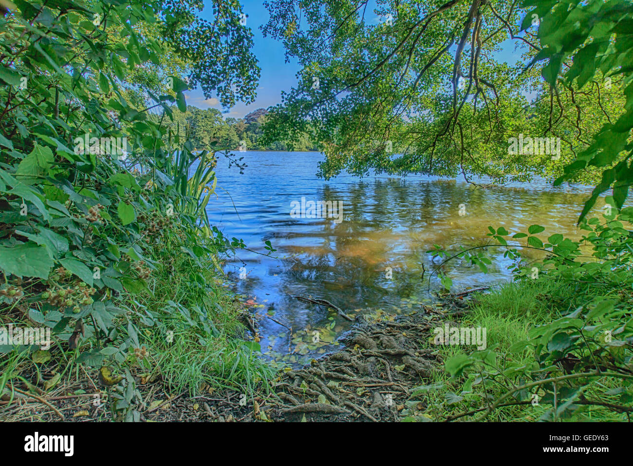 Schöne Landschaft nehmen in Osterley Park London UK Stockfoto