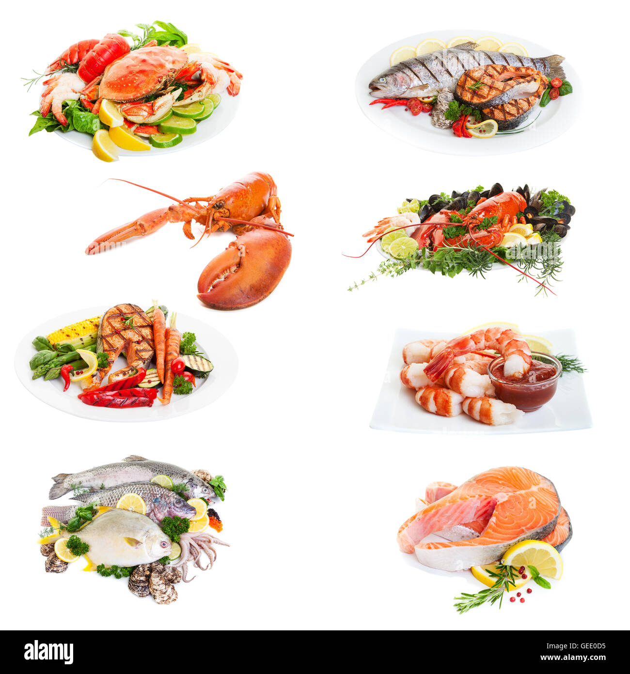 Meer Essen Collage aus acht Fotografien auf weiß gemacht Stockfoto