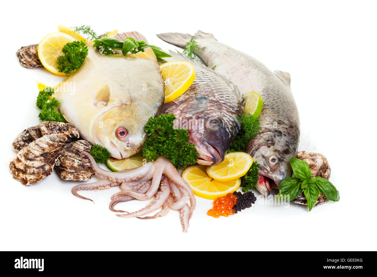 Rohe Meeresfrüchte mit Austern und Tintenfisch auf einem weißen Hintergrund angezeigt. Stockfoto