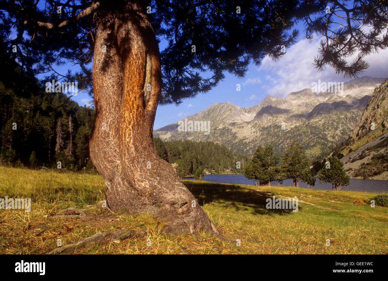 "Estany Llong´, Llong See, Aigüestortes i Estany de Sant Maurici National Park, Pyrenäen, Lleida Provinz, Katalonien, Spanien. Stockfoto