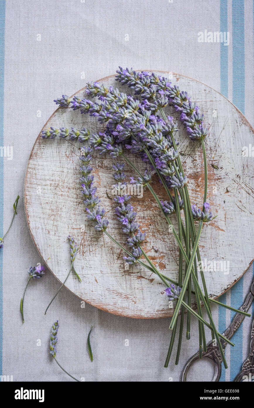 frischem Lavendel auf Holztisch Stockfoto