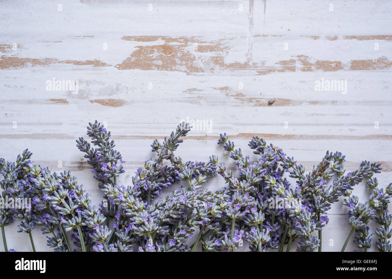 frischem Lavendel auf Holztisch Stockfoto