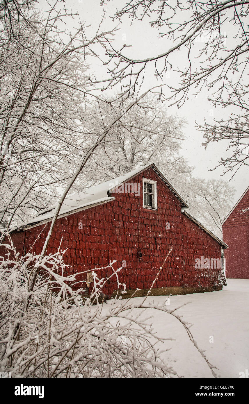 Historische rot-amerikanische Scheune und schneebedeckte Bäume in Cranbury, New Jersey, USA, NJ US vertikale Farmszene vintage Schnee fallen roten Scheunen Stockfoto
