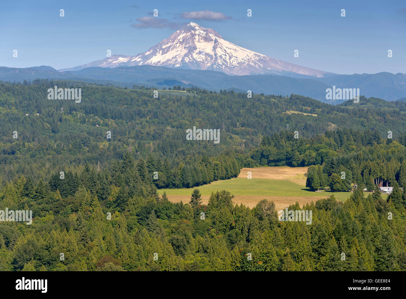 Jonsrud Sicht Wald und Mt. Hood in Sandy Oregon. Stockfoto