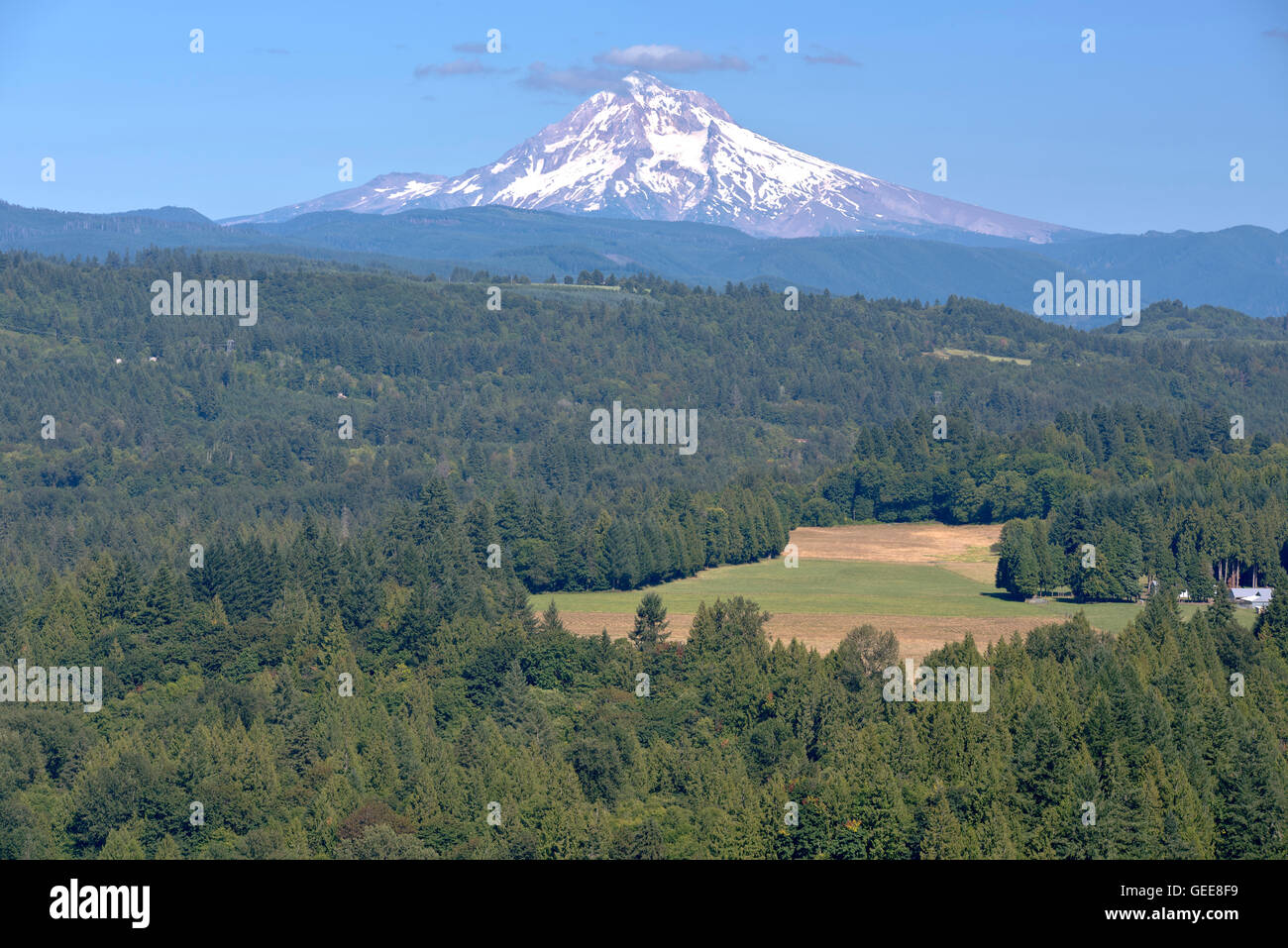 Jonsrud Sicht Wald und Mt. Hood in Sandy Oregon. Stockfoto