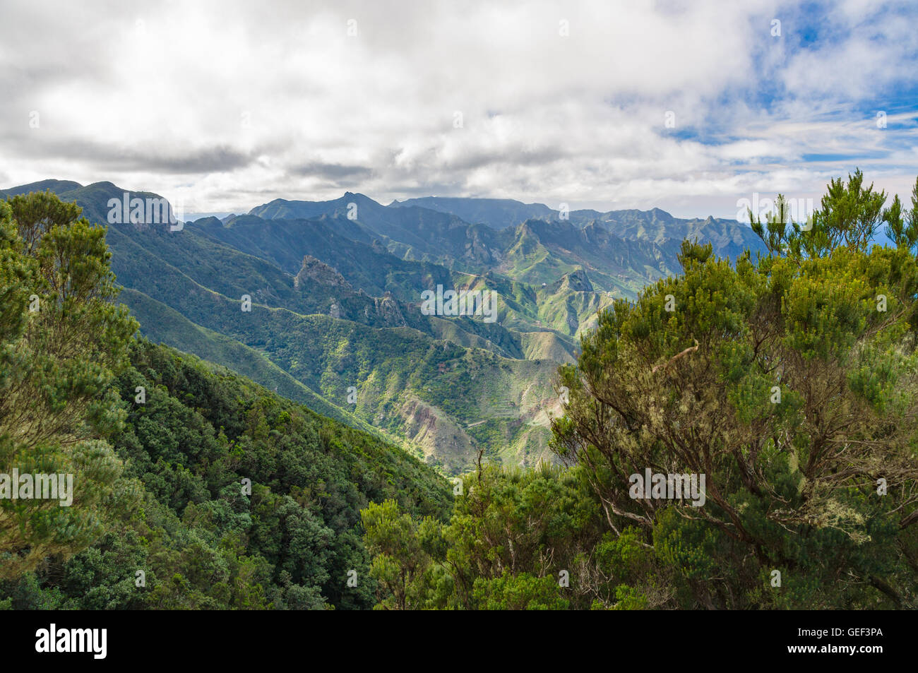 Anaga-Gebirge Blick vom Mirador Cabezo del Tejo, Teneriffa, Spanien Stockfoto