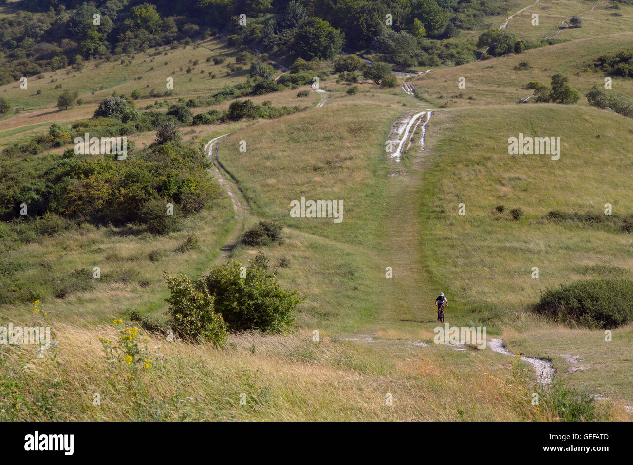 Die Ridgeway Path auf seine Oberfläche auf Ivinghoe Beacon Böcke Stockfoto