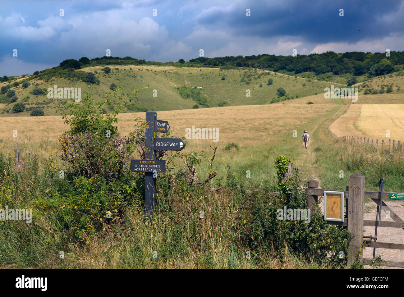 Die Ridgeway Path auf seine Oberfläche auf Ivinghoe Beacon Böcke Stockfoto