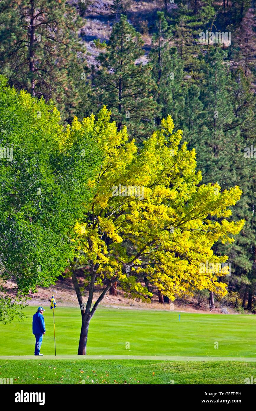 Geographie / Reisen, Kanada, British Columbia, Okanagan-Similkameen D, Person auf ein Putting Green auf die Twin Lakes Golf & RV Resort, Marron Valley Highway 3A, Okanagan-Similkameen Region Okanagan, Stockfoto