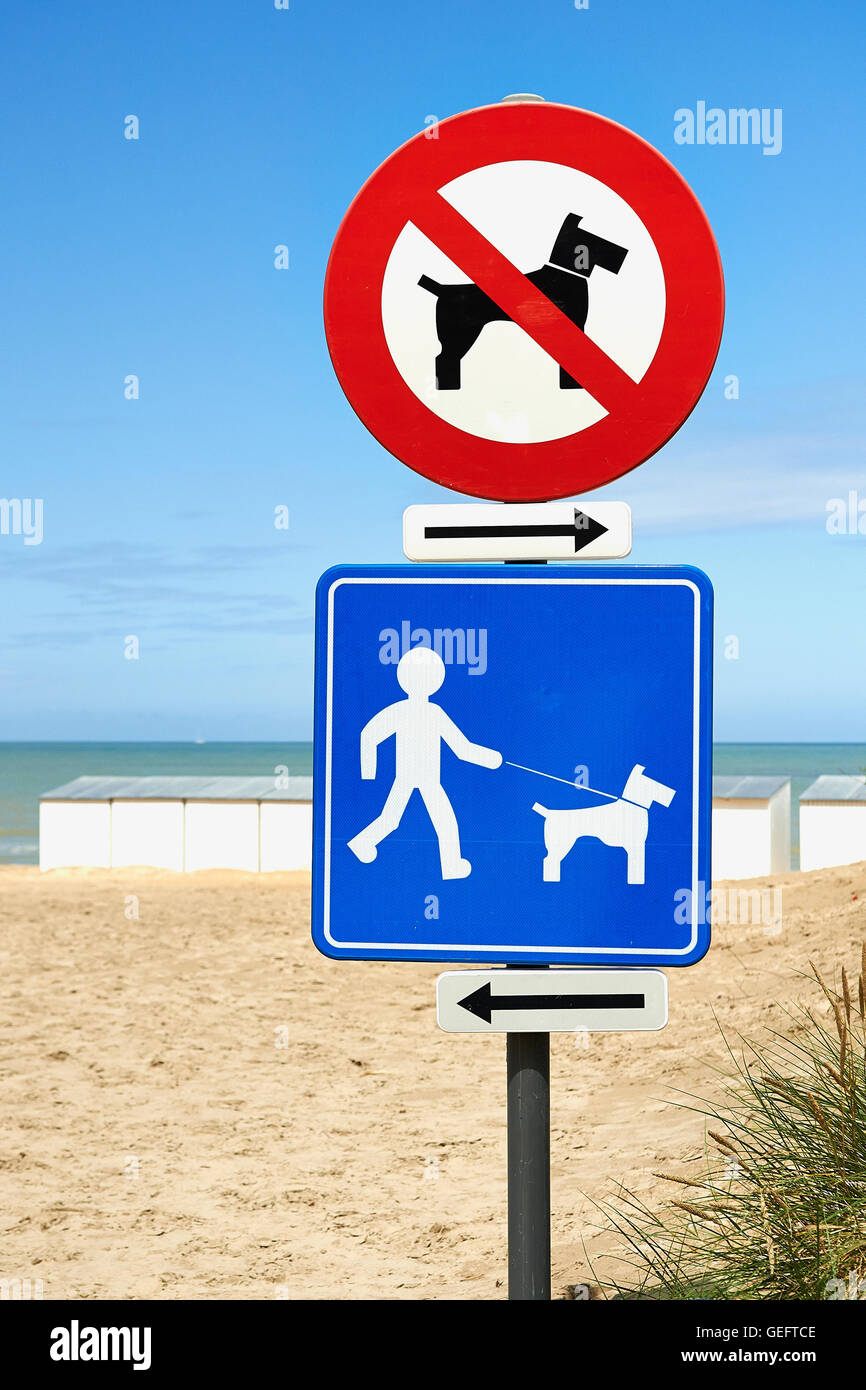 Sternzeichen: Keine Hunde am Strand und Hunde an der Leine nur Stockfoto
