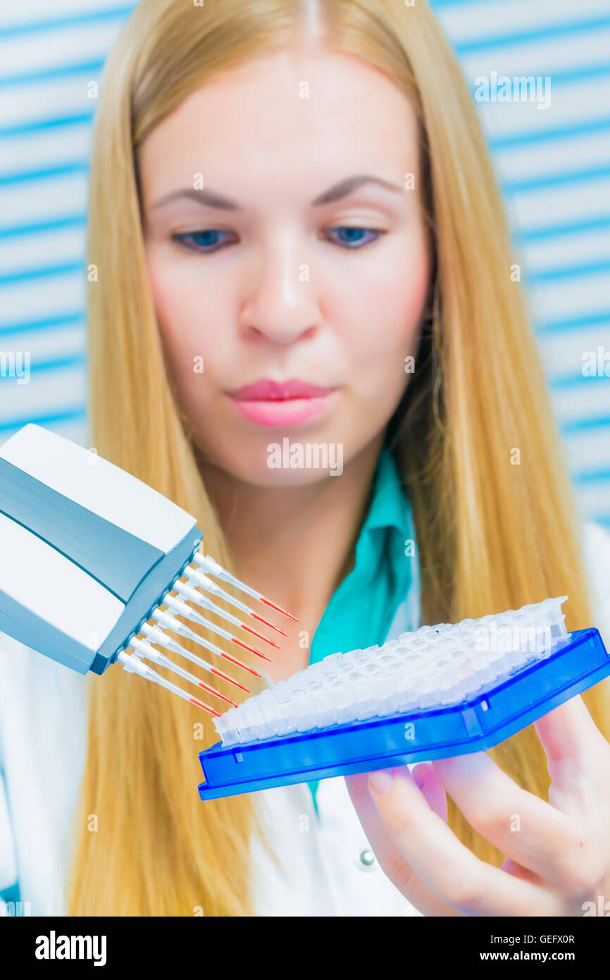Frau-Assistent im Labor mit Multi-Pipette in der Klinik, die Erforschung von Krebs-Stammzellen Stockfoto