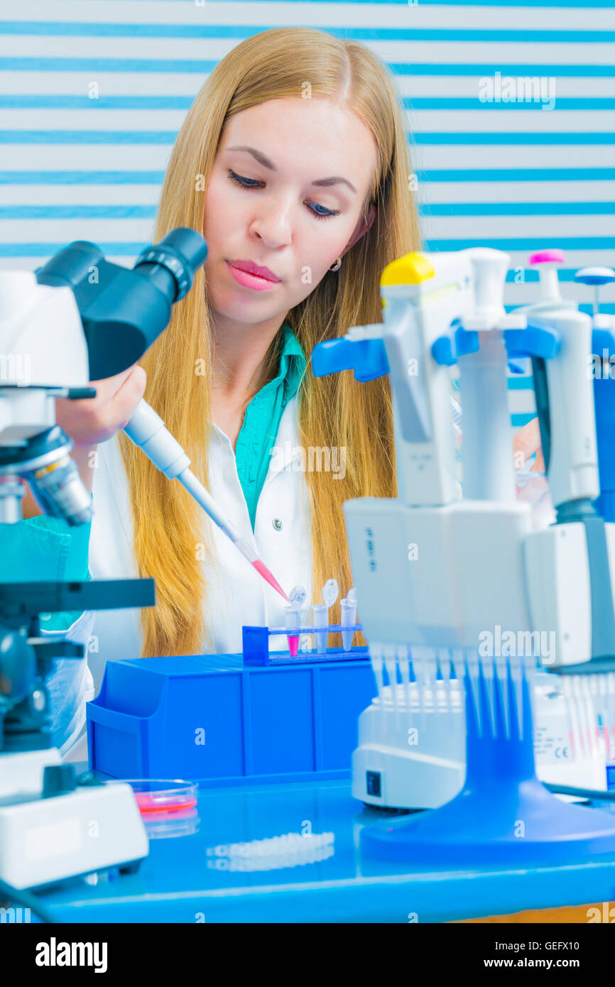 Labor-Assistentin mit langen blonden Haaren füllt Mikroröhrchen für DNA-Analysen Stockfoto