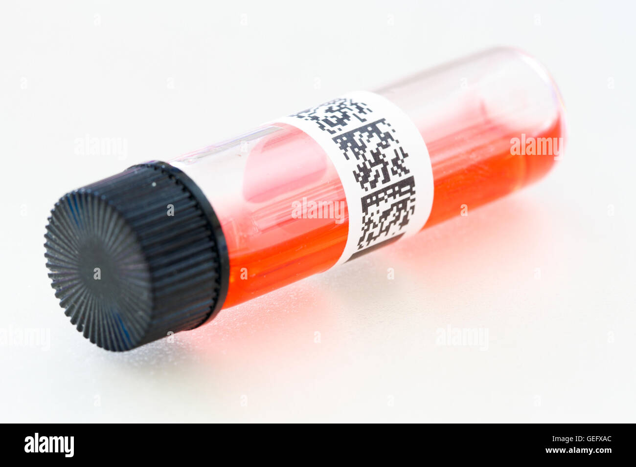 Verschlossenen Reagenzglas mit Strichcode QR biologischen Probe Stockfoto