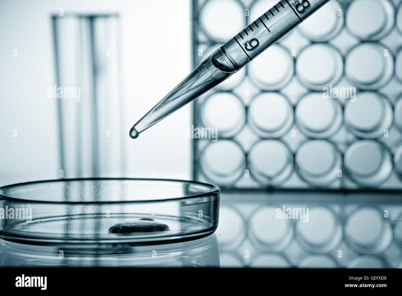 Pipette und chemischen Glas im Labor blaue Farbe Stockfoto