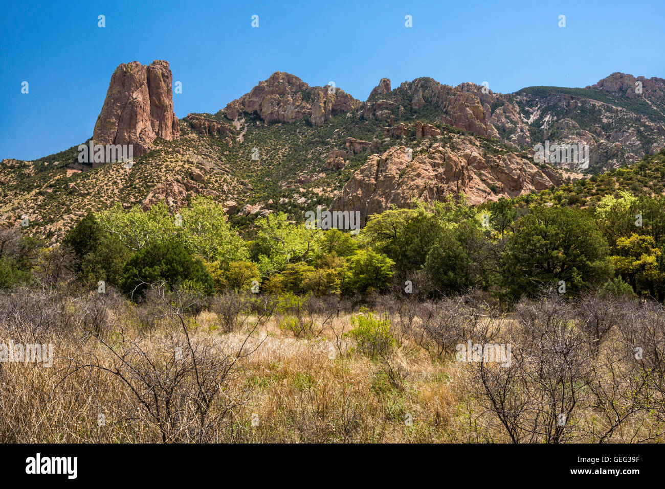 Rhyolit Klippen um Sonnige Wohnung Campingplatz in Cave Creek Canyon, uferzone Lebensraum in der Chiricahua Mountains, Arizona, USA Stockfoto