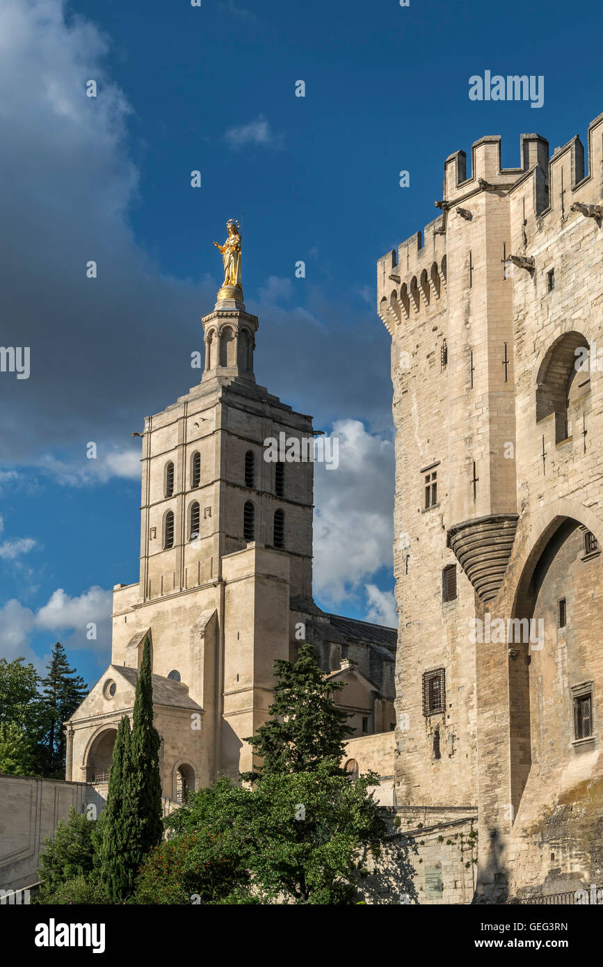 Palais Des Papes, Avignon, Bouche du Rhone, Frankreich Stockfoto