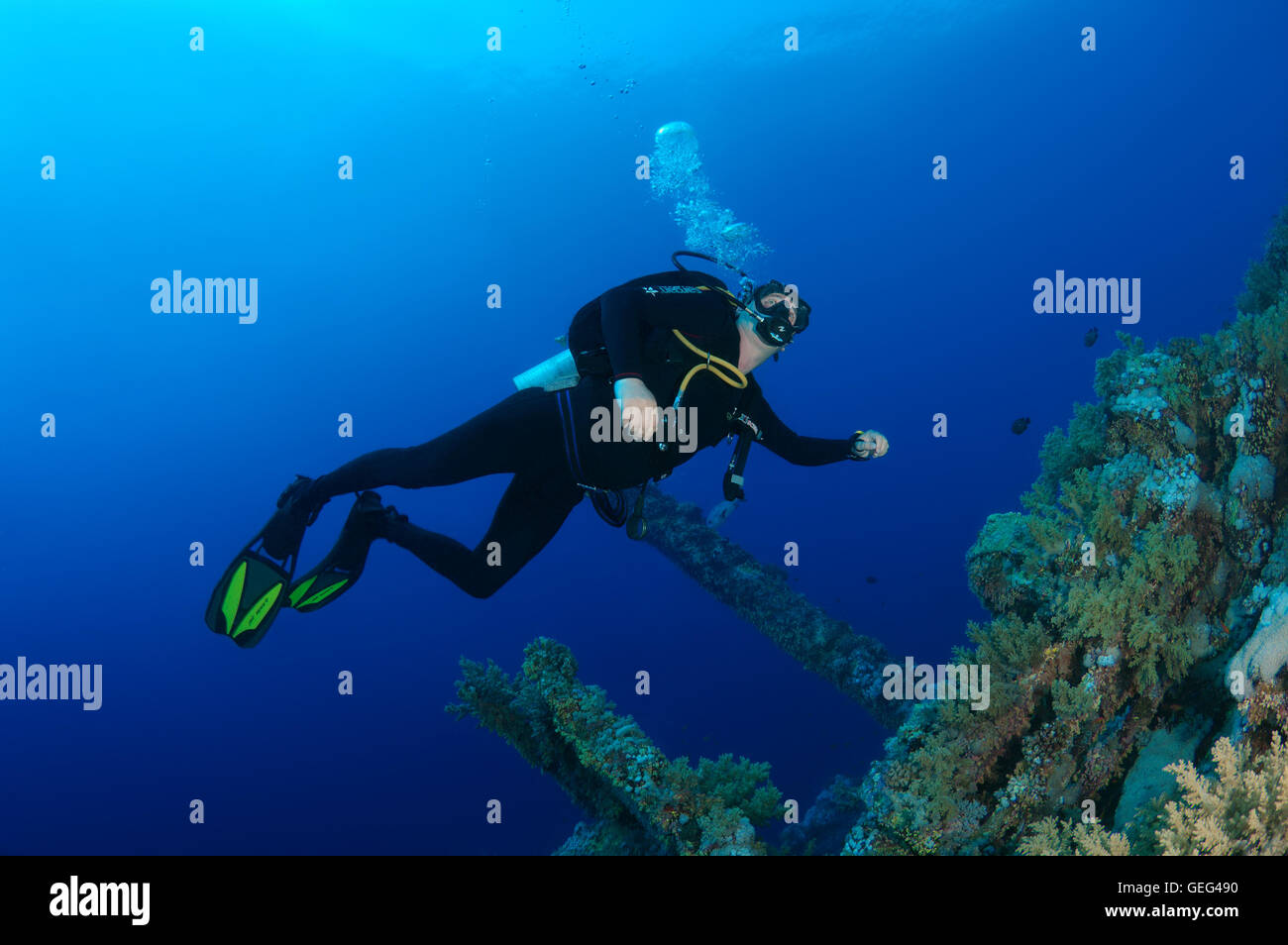 Männlichen Taucher am Wrack der Numidia, Big Brother Reef, Brother Islands, Rotes Meer, Ägypten Stockfoto