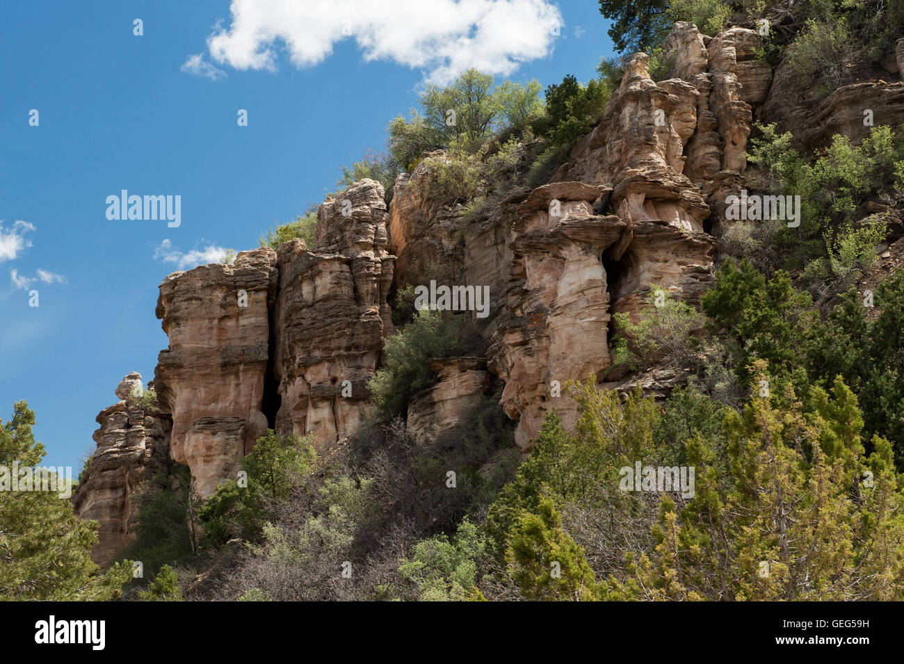 Hoodoos in Sandstein Burro-Canyon-Formation in der Nähe von Blanding, Utah Stockfoto
