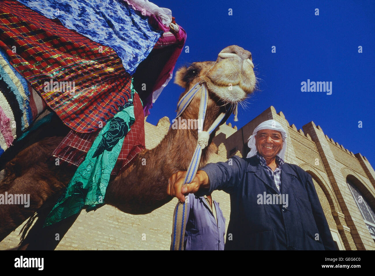 Ein Kamel Handler außerhalb der großen Moschee von Kairouan. Tunesien. Nordafrika Stockfoto