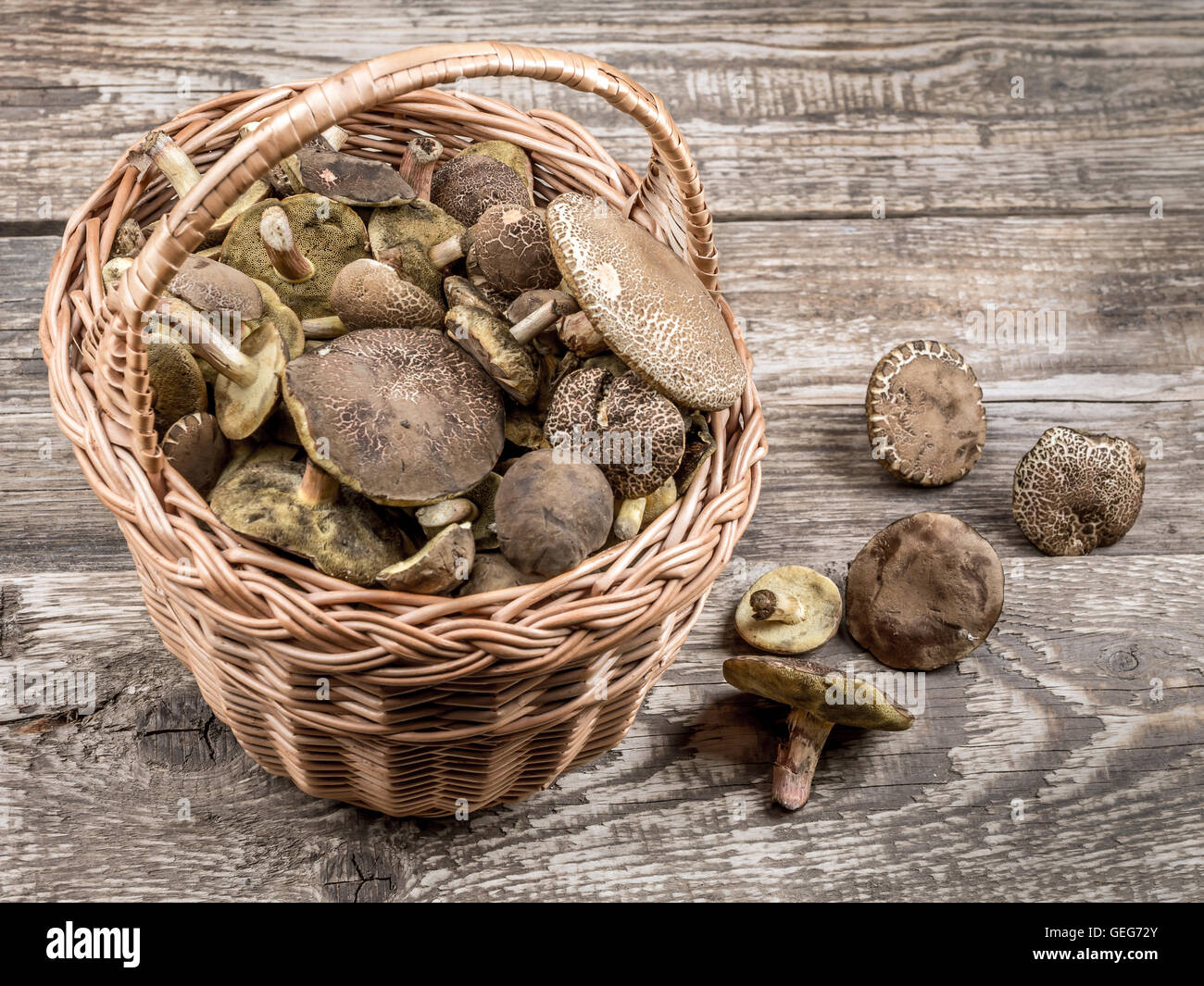 Weidenkorb voller essbarer Pilze auf Holztisch Stockfoto