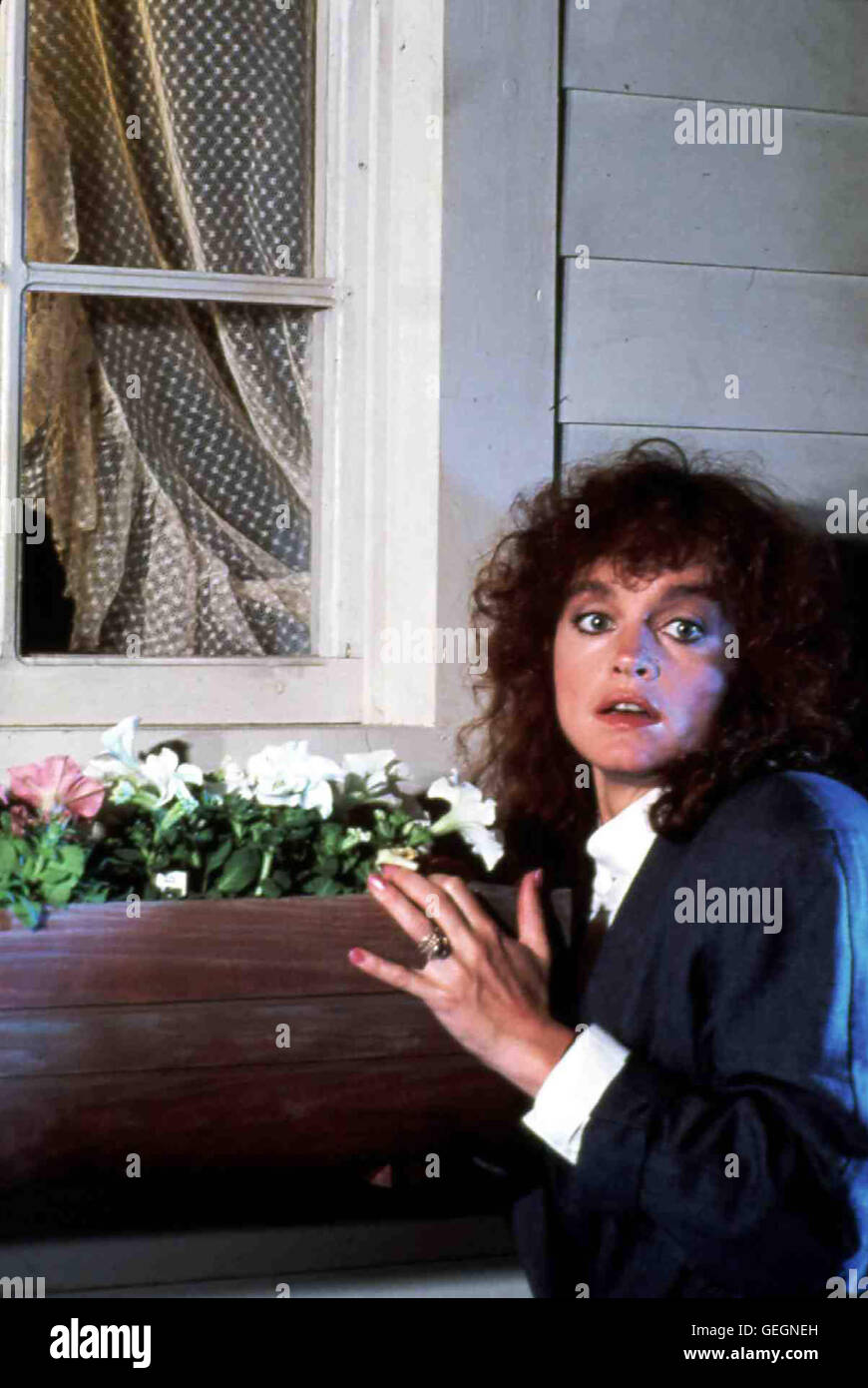 Pamela Sue Martin Linda (Pamela Sue Martin) Und Ihr Mann Jerry LeBon Ziehen in Ein 200 Jahre Altes Haus. Schon bald Geschehen Sonderbare Dinge... *** lokalen Caption *** 1987, Bay Cove, sterben Hexen Von Bay Cove Stockfoto