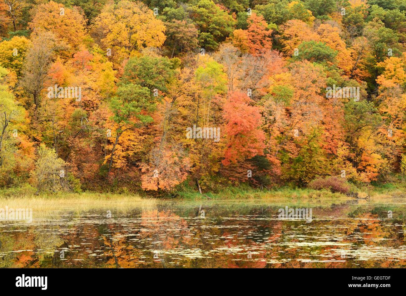 Herbstfarben Sie wider an einem See, an einem ruhigen Tag Stockfoto