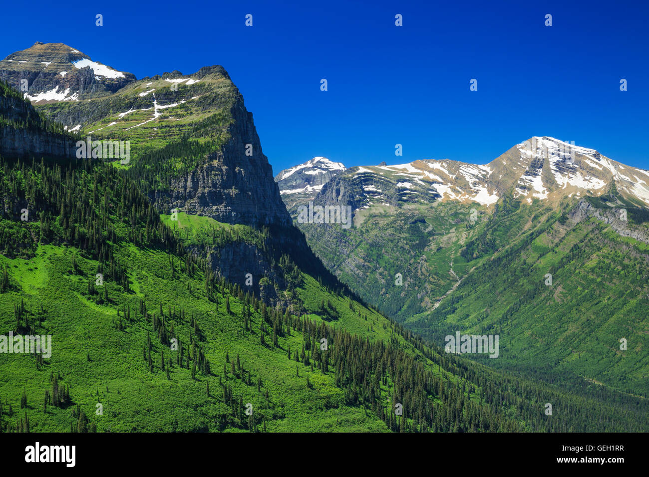 Montieren Sie Kanone und Himmel Gipfel über das Mcdonald Creek Valley im Glacier National Park, montana Stockfoto