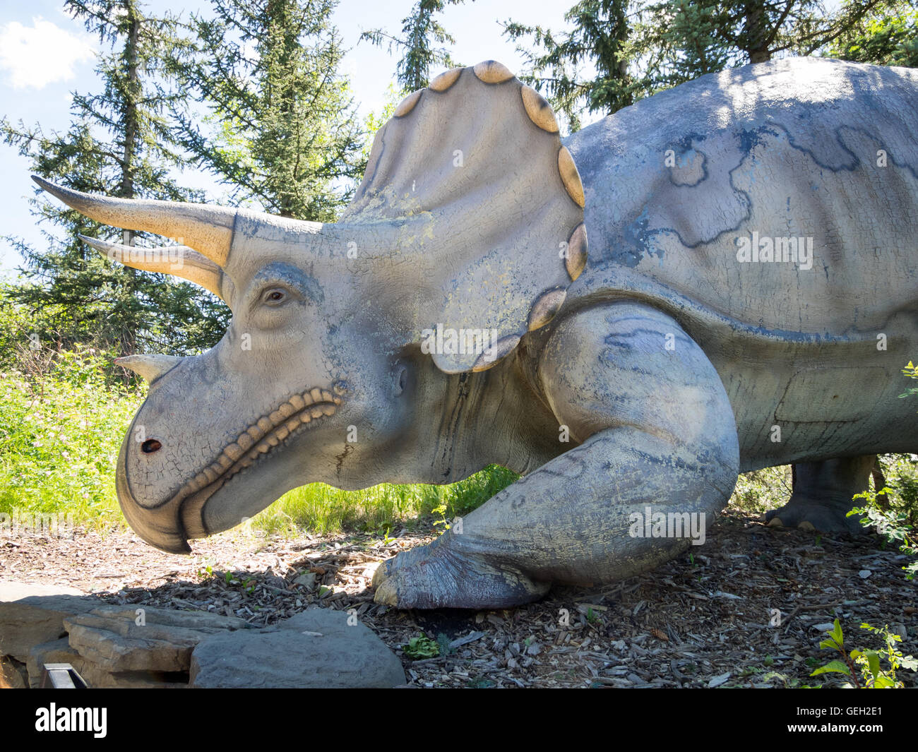 Ein Modell-Nachbau des ein Triceratops, eine Gattung von pflanzenfressenden Ceratopsid Dinosaurier. Prähistorischer Park, Zoo von Calgary, Calgary, Kanada. Stockfoto