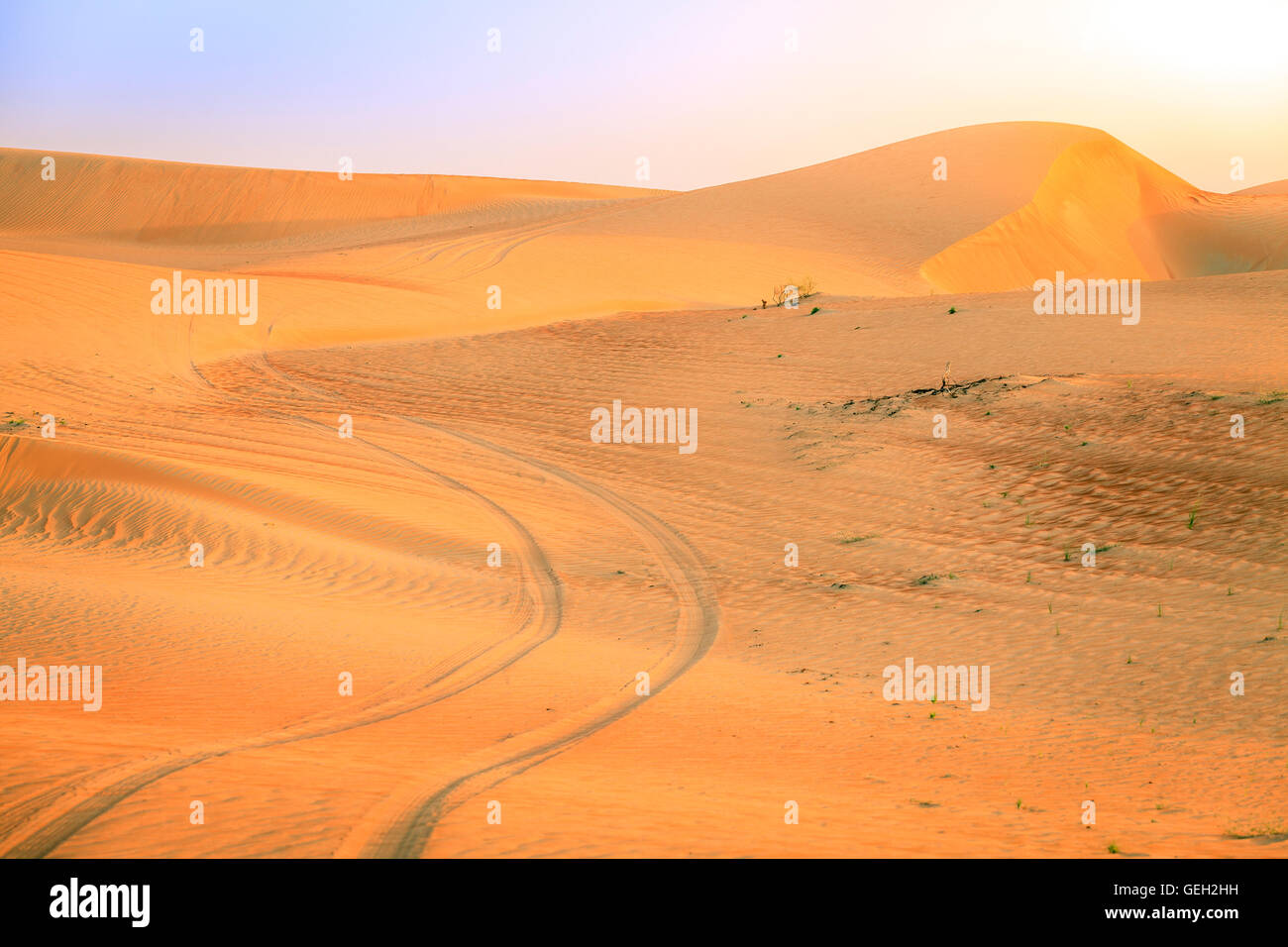Reifenspuren in der Wüste in der Nähe von Dubai Vereinigte Arabische Emirate Stockfoto