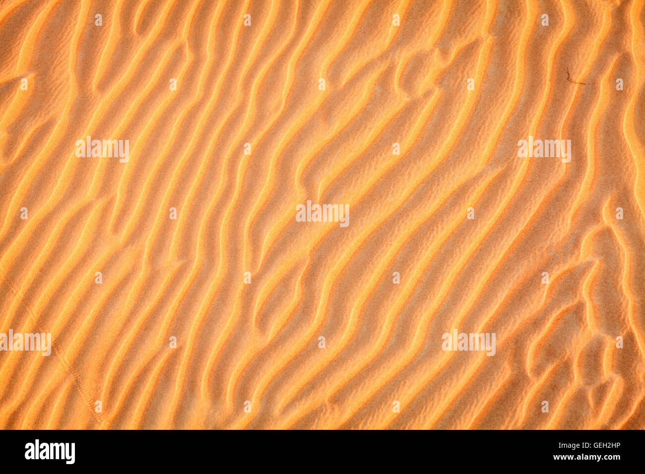 Wellen in den Sand in den Dünen von Dubai Desert Conservation Reserve, Vereinigte Arabische Emirate Stockfoto