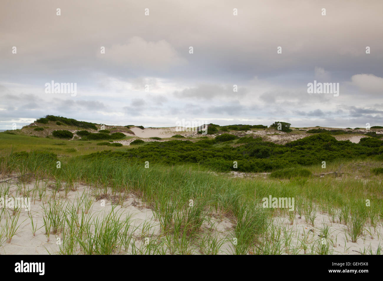 Sonnenuntergang in den Dünen Strand auf Cape Cod National Seashore am Atlantischen Ozean Stockfoto