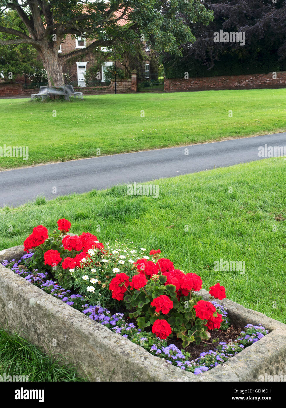 Sommerblumen in einem Stein-Trog auf dem Dorfplatz am Commissioner in der Nähe von Boroughbridge North Yorkshire England Stockfoto