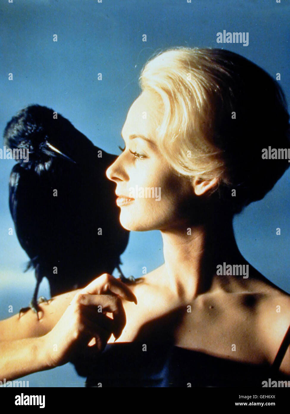 Tippi Hedren *** lokalen Caption *** 1963, Vögel, Voegel, sterben Stockfoto