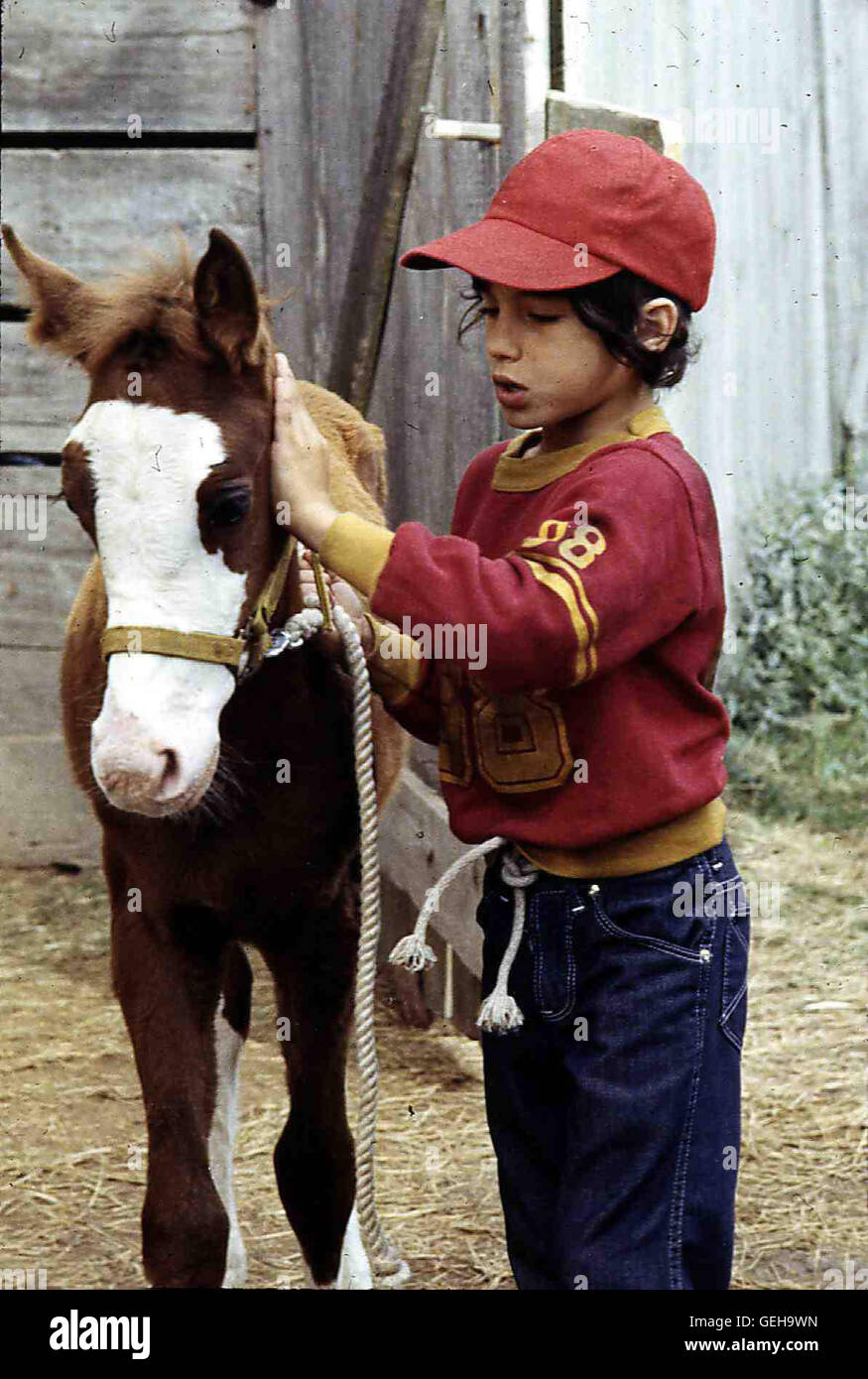 Michael Hershewe Nachdem Lloyds Stute Ein Fohlen Problem, Stirbt Sie. Lloyds Jüngster Sohn Casey (Michael Hershewe) Kümmert Sich Liebevoll um Das Fohlen Und Zieht es Auf. Lokalen Caption *** 1977, Casey es Schatten, Der Champion Stockfoto