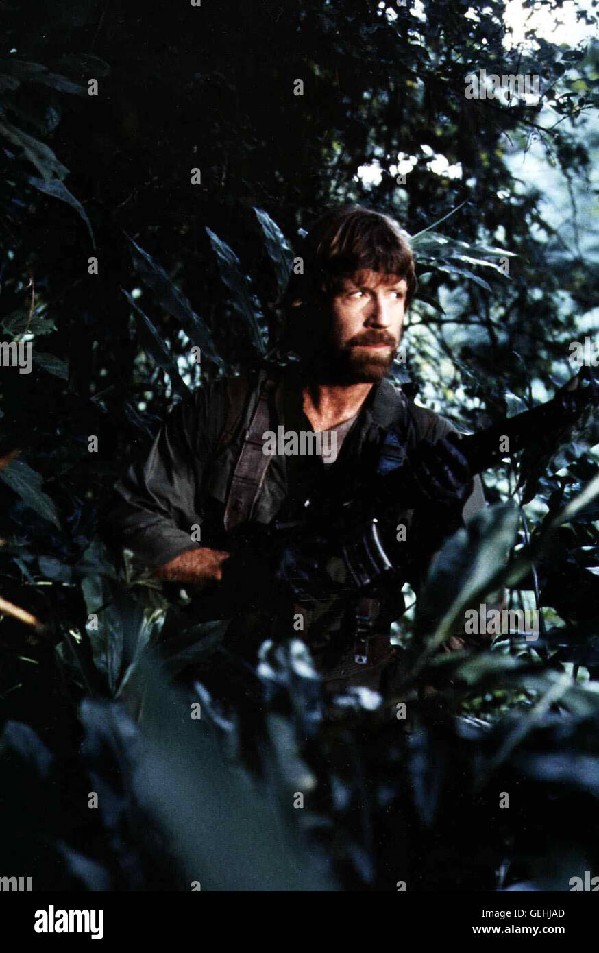 chuck norris braddock chuck norris braddock chuck norris stockfotos chuck chuck norris braddock chuck norris braddock chuck norris stockfotos chuck