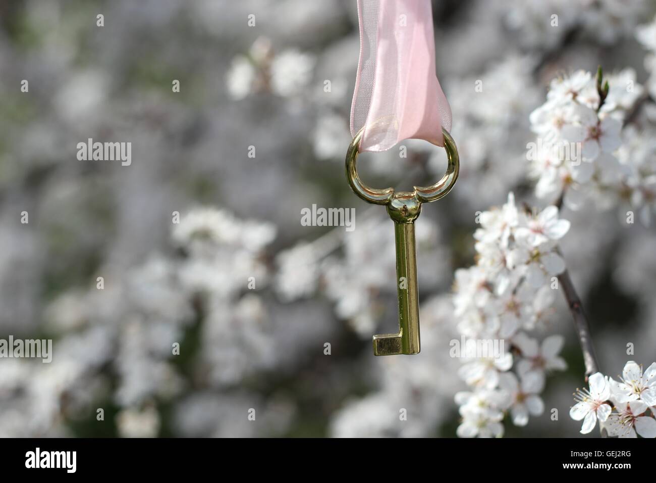 geheimer Garten Stockfoto