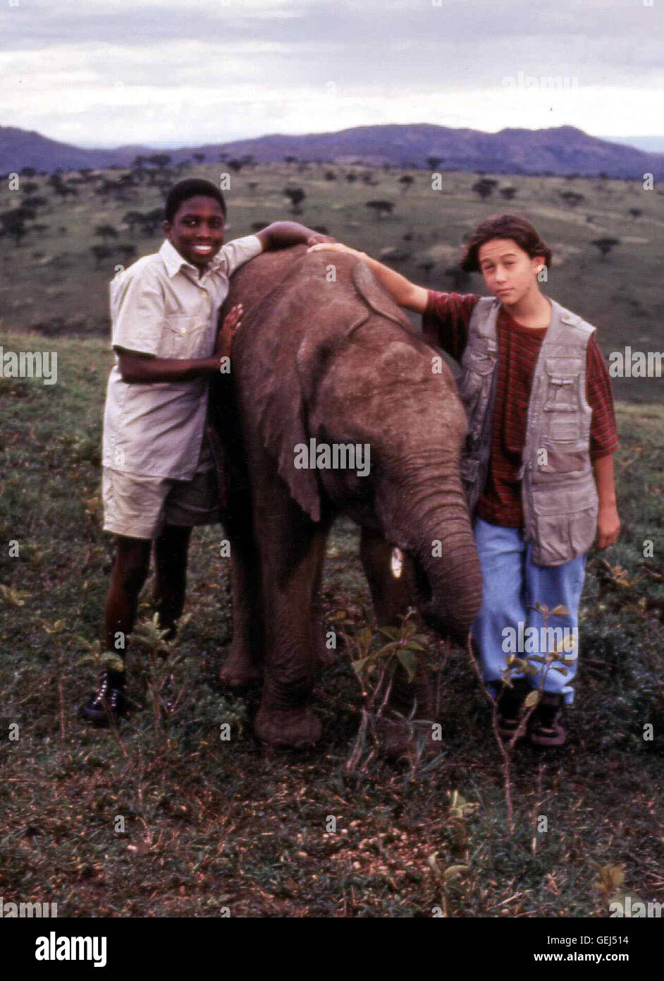 Frederick M'Cormack, Joseph Gordon-Levitt Jomo (Frederick M'Cormack, l) Und Matt (Joseph Gordon-Levitt) Entführen Das Elefantenbaby Elli, Das von Einem Skrupellosen Tierhändler kalendarisch Wurde. Lokalen Caption *** 1995, große Elefanten zu entgehen, der, Free Elli - sterben Rettung Des Elefantenbabys Stockfoto