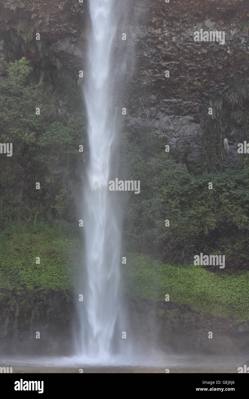 Wasserfall im Dschungel Stockfoto