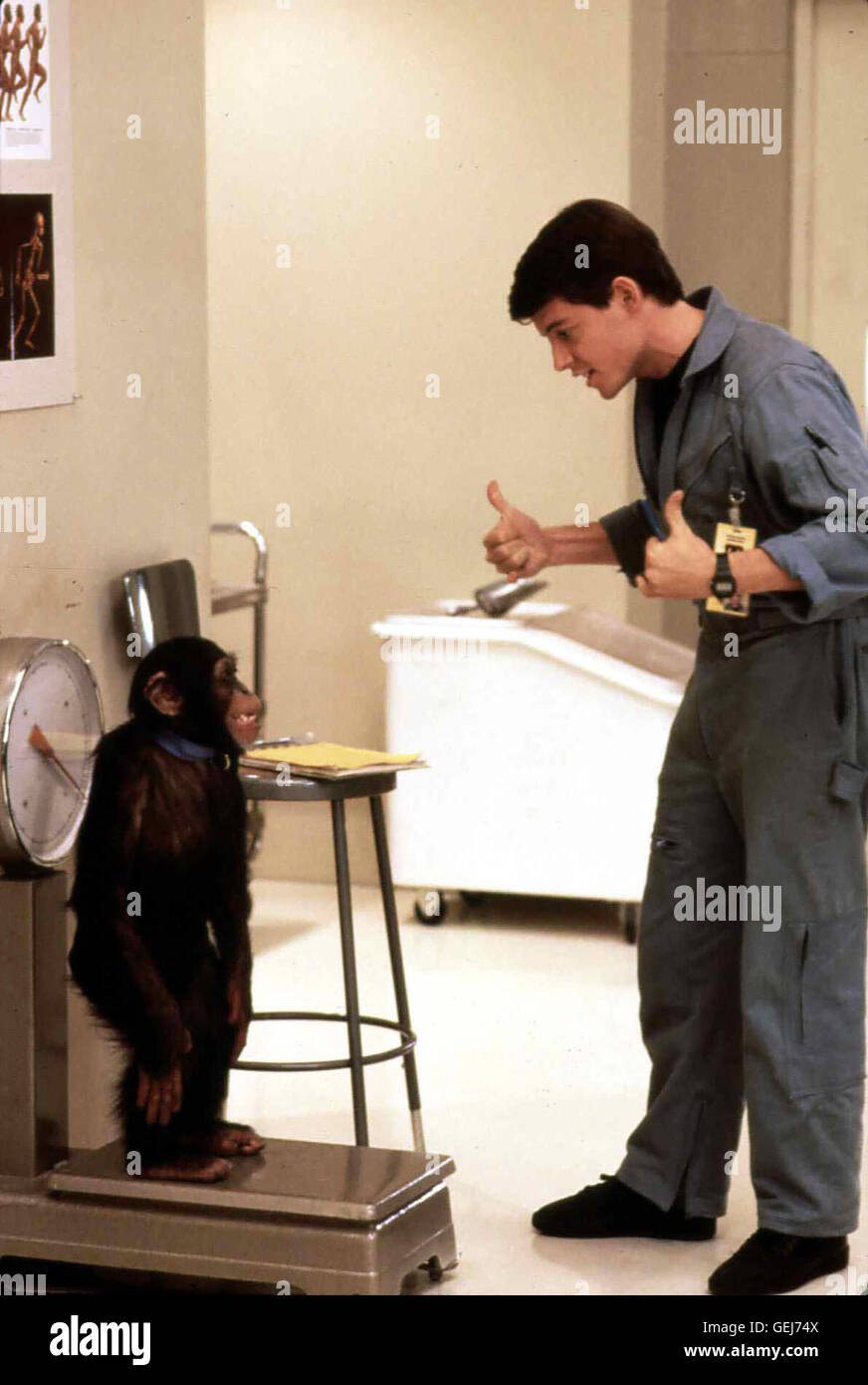 Matthew Broderick sterben Tiere Landen Jedoch Bei Jimmy Garrett (Matthew Broderick) in Einem Labor der Luftwaffe.   Lokalen Caption *** 1987, Project X, Projekt X Stockfoto