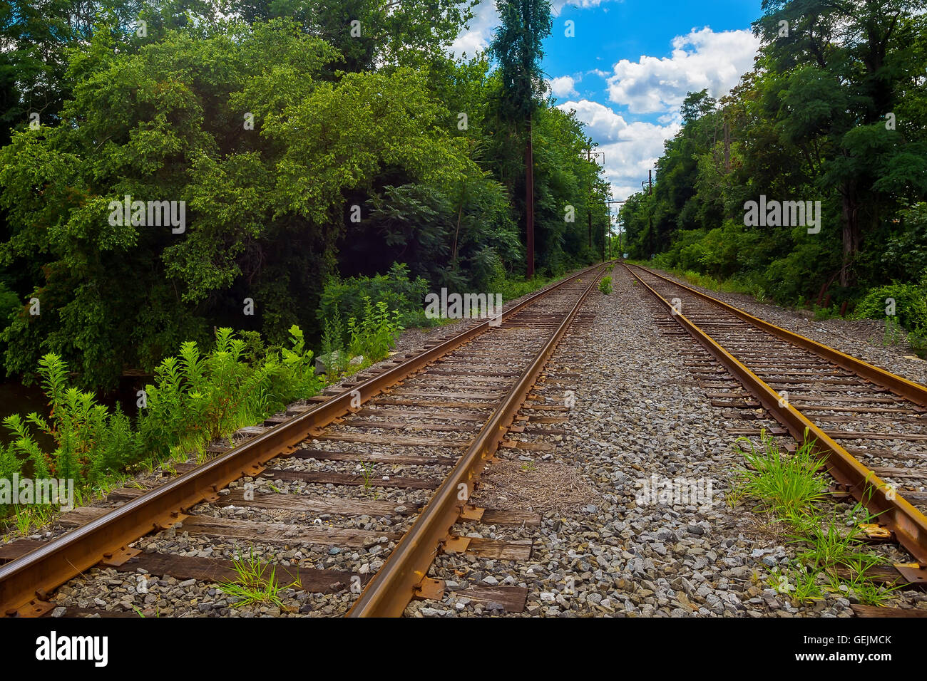 Grüne Bäume am See sonnigen Tag mit Wolken den Himmel Eisenbahn Schienen unterwegs Stockfoto