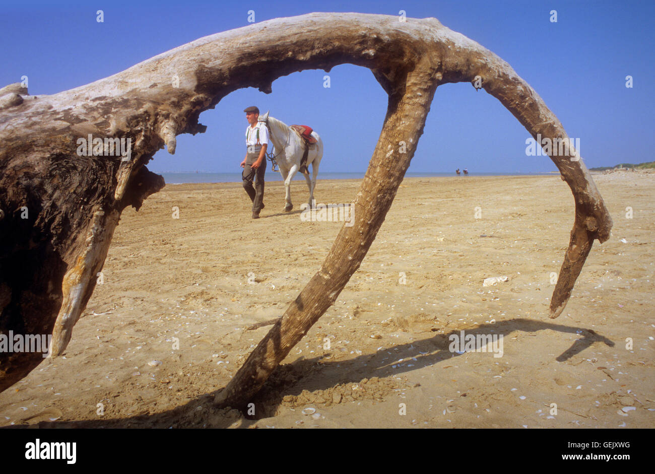 Pilger in Punta de Malandar, Romeria del Rocio, Pilger auf ihrem Weg durch den Nationalpark Doñana Wallfahrt von Sanlúcar Stockfoto