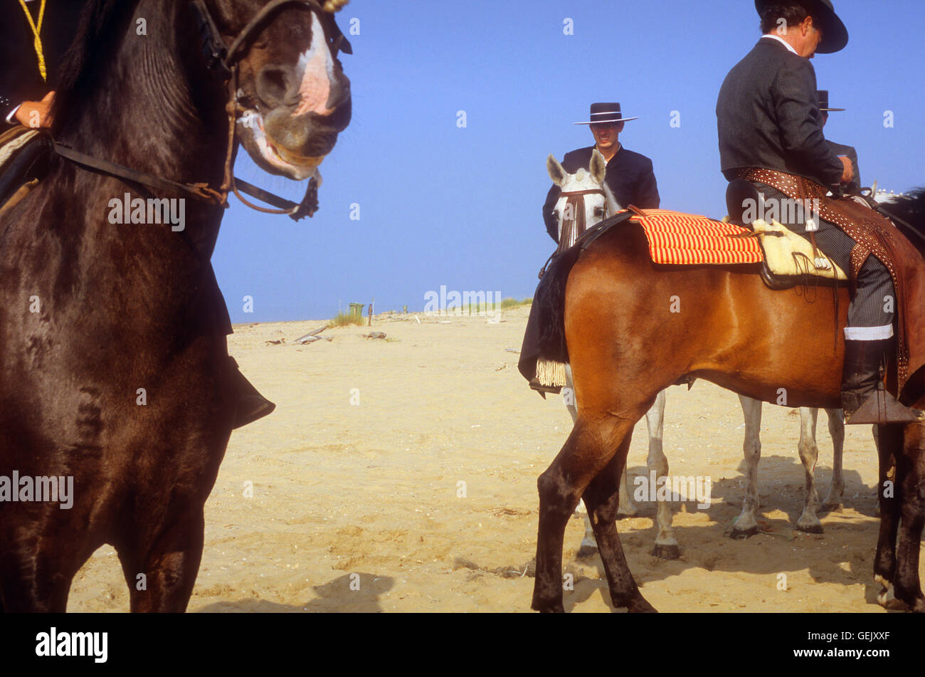 Pilger in Punta de Malandar, Romeria del Rocio, Pilger auf ihrem Weg durch den Nationalpark Doñana Wallfahrt von Sanlúcar Stockfoto